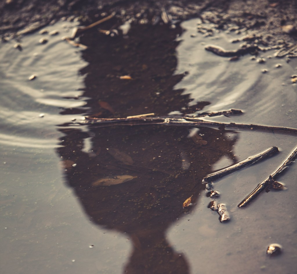 Beyond That Which We Reap: A Look at Literary Responses to&nbsp;Nature